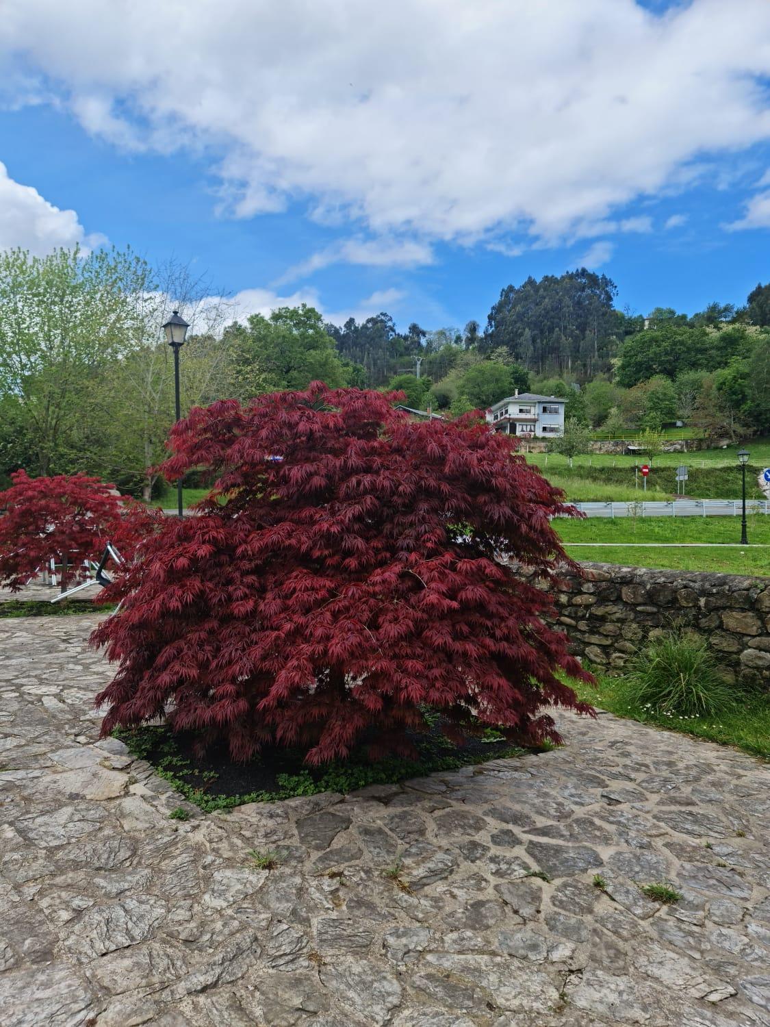 Posada Las Mozas Ríocorvo Esterno foto